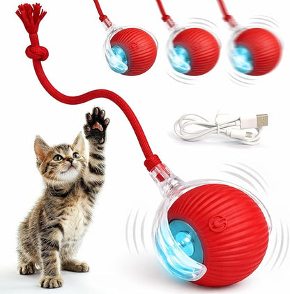 Pelota Interactiva Recargable