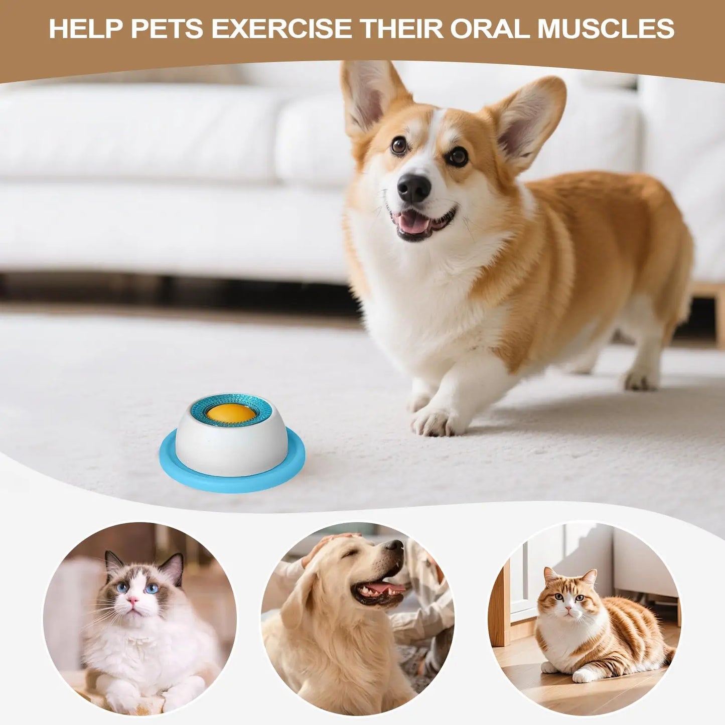 Bowl Anti-Estrés Para Perros