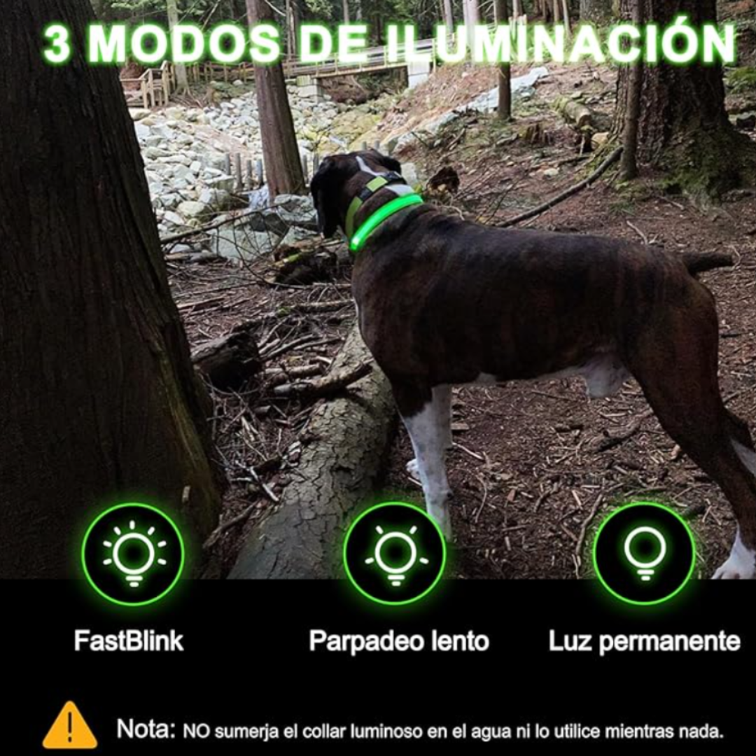 Collar Para Perro Luminoso Recargable