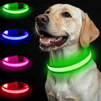 Collar Para Perro Luminoso Recargable