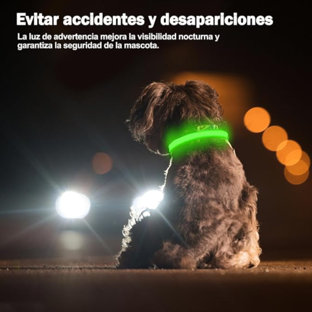 Collar Para Perro Luminoso Recargable