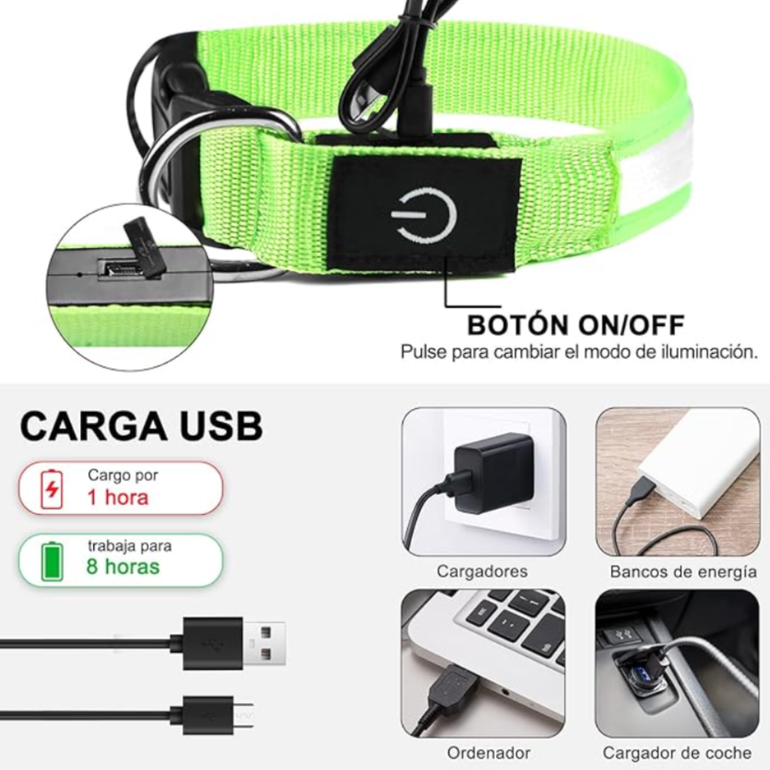 Collar Para Perro Luminoso Recargable